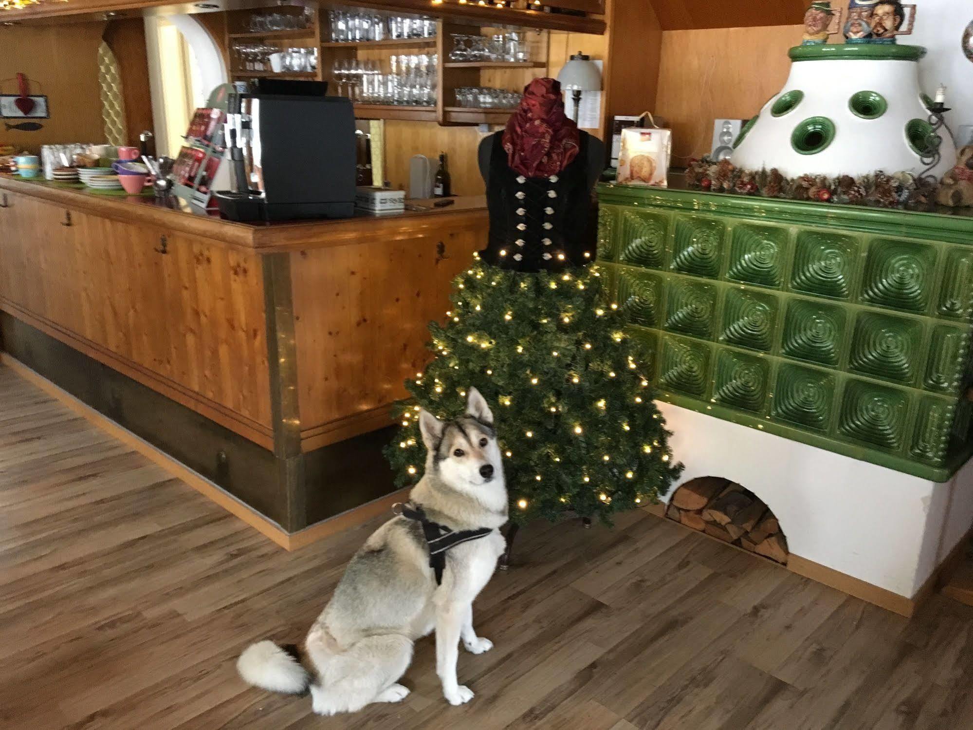 Hotel Pension Schwansee Schwangau Dış mekan fotoğraf